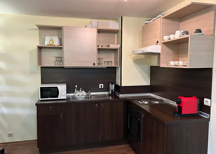 частен * 班斯科